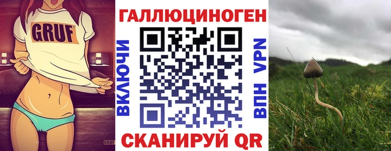 Купить  Гуково  Псилоцибиновые грибы мухоморы 